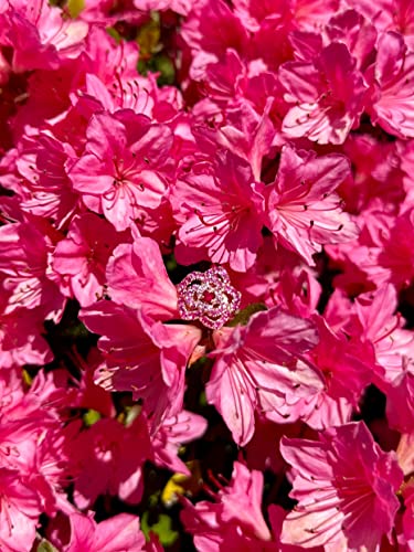 1/5 Carat Diamond with 1 Carat Red Ruby and Pink Sapphire Rose Flower Ring for Women in 14k Rose Gold (White, 1.13 cttw) Anniversary Ring Size 4 to 10 by LeVian