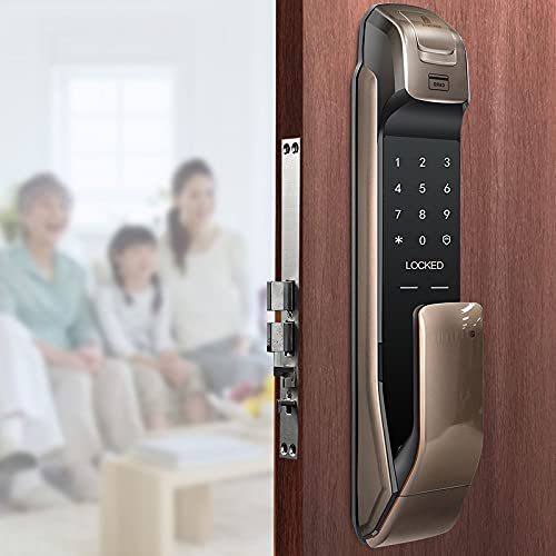 KFJBX Push Pull Handle with Fingerprint Digital Smart Home Lock and Card Verification (Color : White-Patch Five-Pointed star4, Size : Pull)