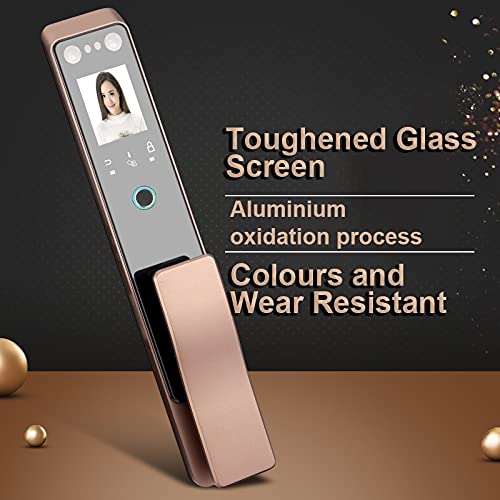 ZLXDP Smart 3D Face Recognition Door Lock Built in Rechargeable Lithium Battery Automatic Control Palm Print Lock for Home (Size : Only The Lock)