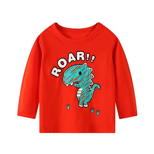 ALI SEA Boys Long Sleeve Shirts Kids Cotton Fall Top Crewneck Clothes 2-7 Years