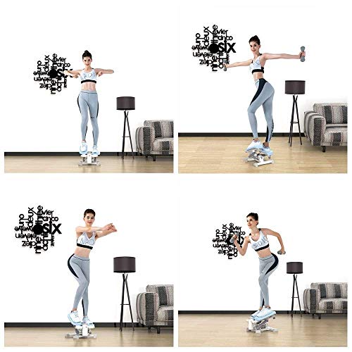 SDGH Free Installation Mute Stepper Home Weight Loss Machine Double Swing Multi-Function Foot Machine Fitness Equipment