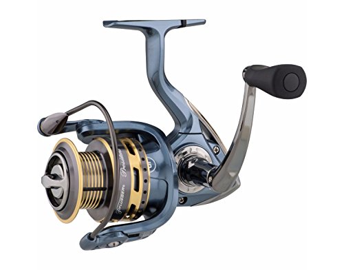 Pflueger President Spinning Fishing Reel