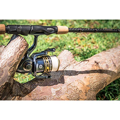 Pflueger President Spinning Fishing Reel