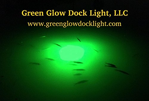 Saltwater Approved, Barnacle Burner Bulb, Underwater Fish Light Bright Green 7,900 Lumens, Single Dock Light Complete Kit, 50  Lamp Cable, Automatic Dusk to Dawn, Easy Self Installation.