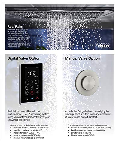 KOHLER K-31110-58 Real Rain Showerhead, Thunder Grey